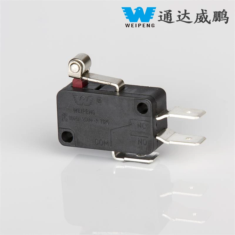 HK-14-16ap Micro Switch 10A 250V 5e4 TUV Certification ENEC En61058